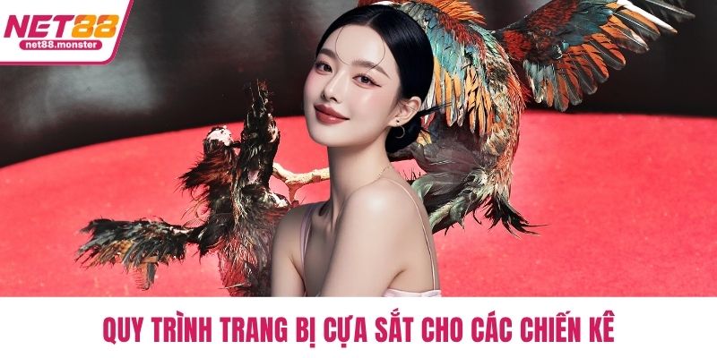Quy trình trang bị cựa sắt cho các chiến kê